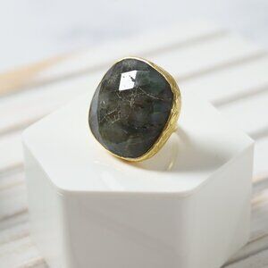 Adjustable Gold Ring with Beautiful Decorative Stone
